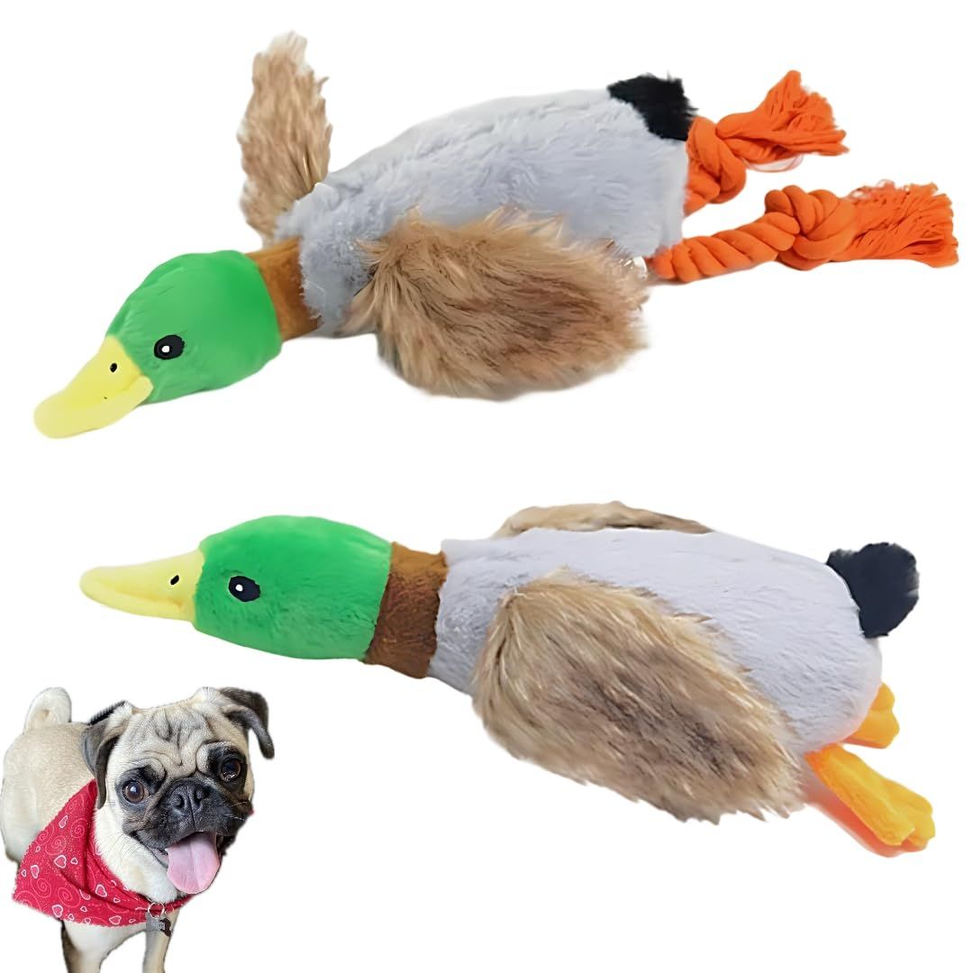 2-Pack Plush Duck Dog Toys with Squeakers