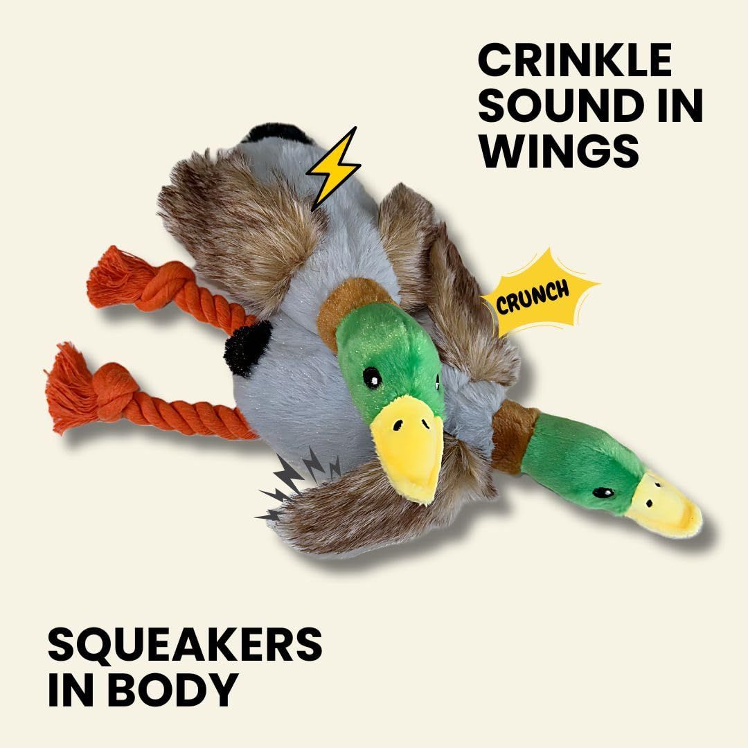 2-Pack Plush Duck Dog Toys with Squeakers view 2