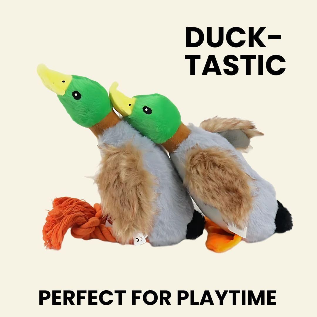 2-Pack Plush Duck Dog Toys with Squeakers view 3