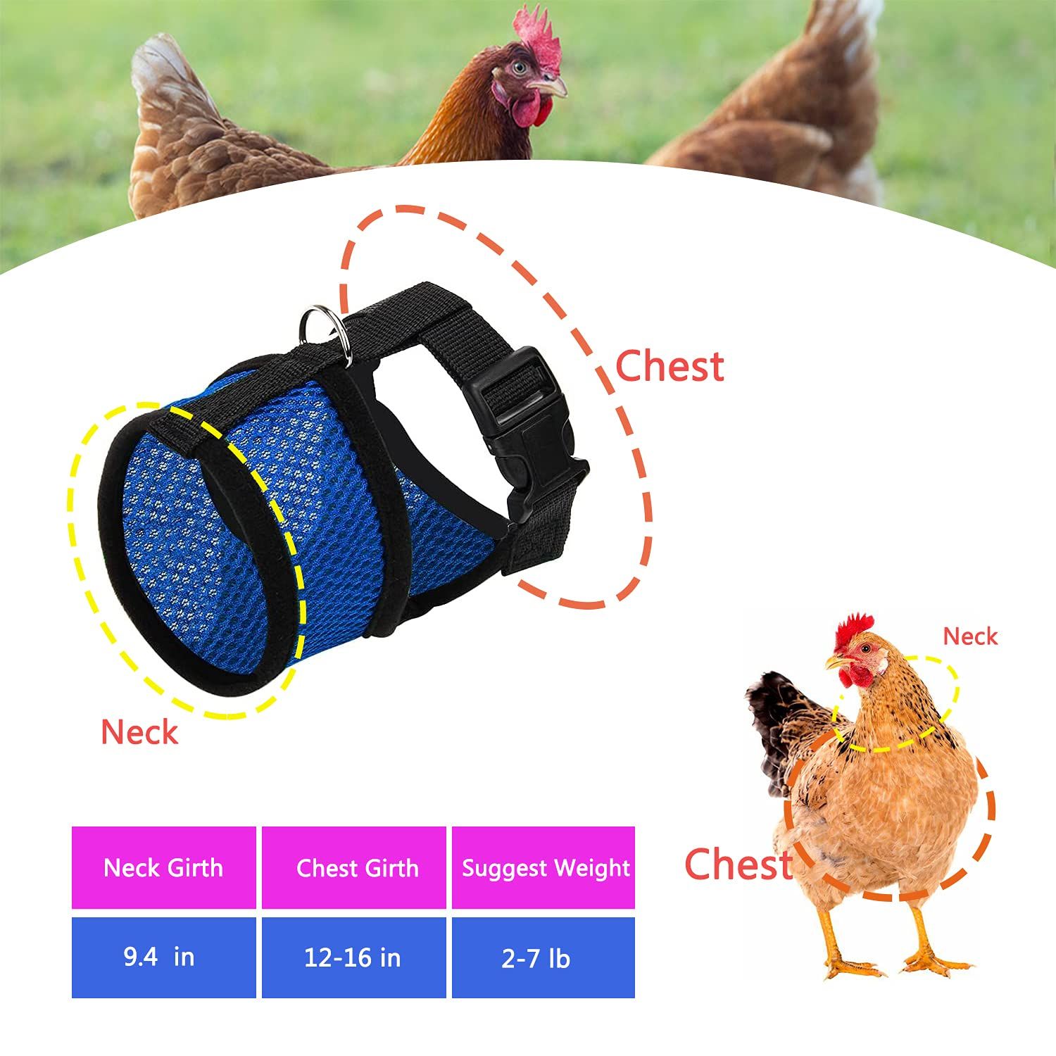 Chicken Harness and Leash view 2