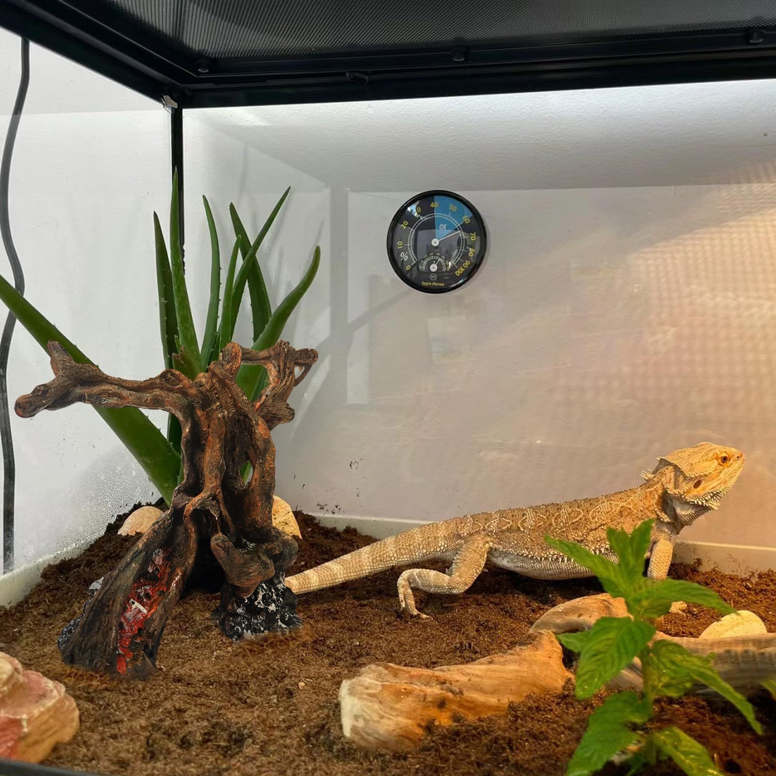 Hermit Crab Climbing Toy view 5
