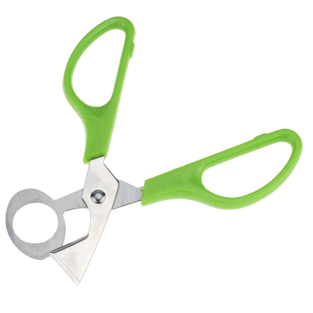 1 Count Quail Egg Scissors