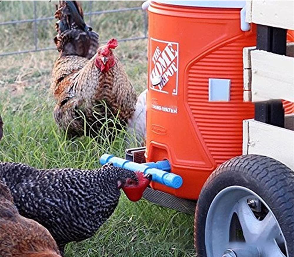 12pcs Chicken Waterer - Poultry Waterer Chicken Water Cups Automatic Nipple view 4