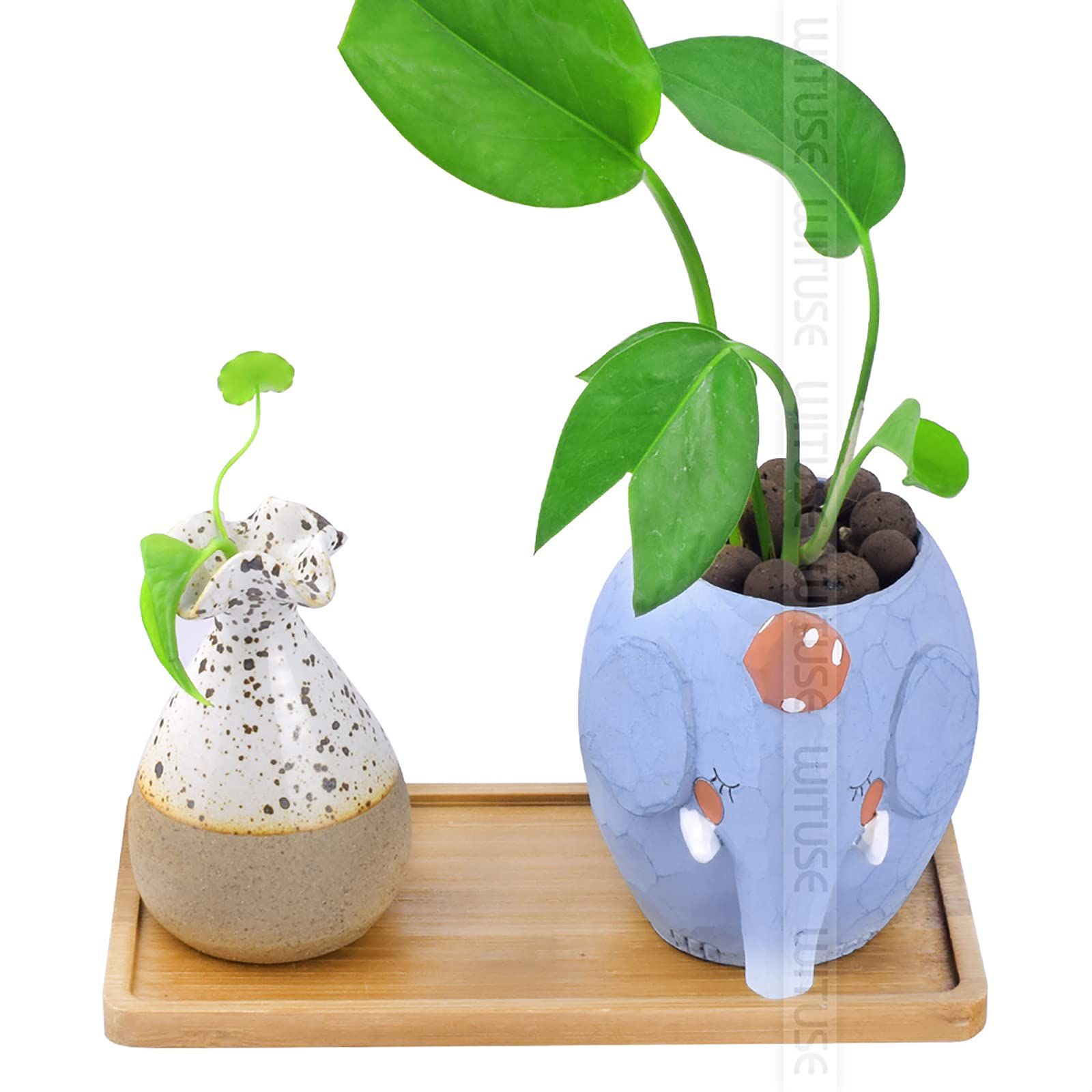 Bamboo Plant Saucer, Mini Bamboo Rectangle Pot Saucer, Bonsai Flower Boxes view 2