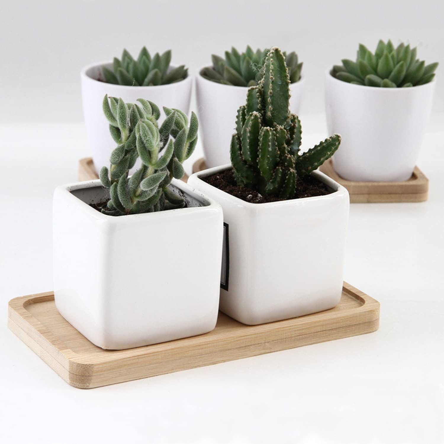 Bamboo Plant Saucer, Mini Bamboo Rectangle Pot Saucer, Bonsai Flower Boxes view 4