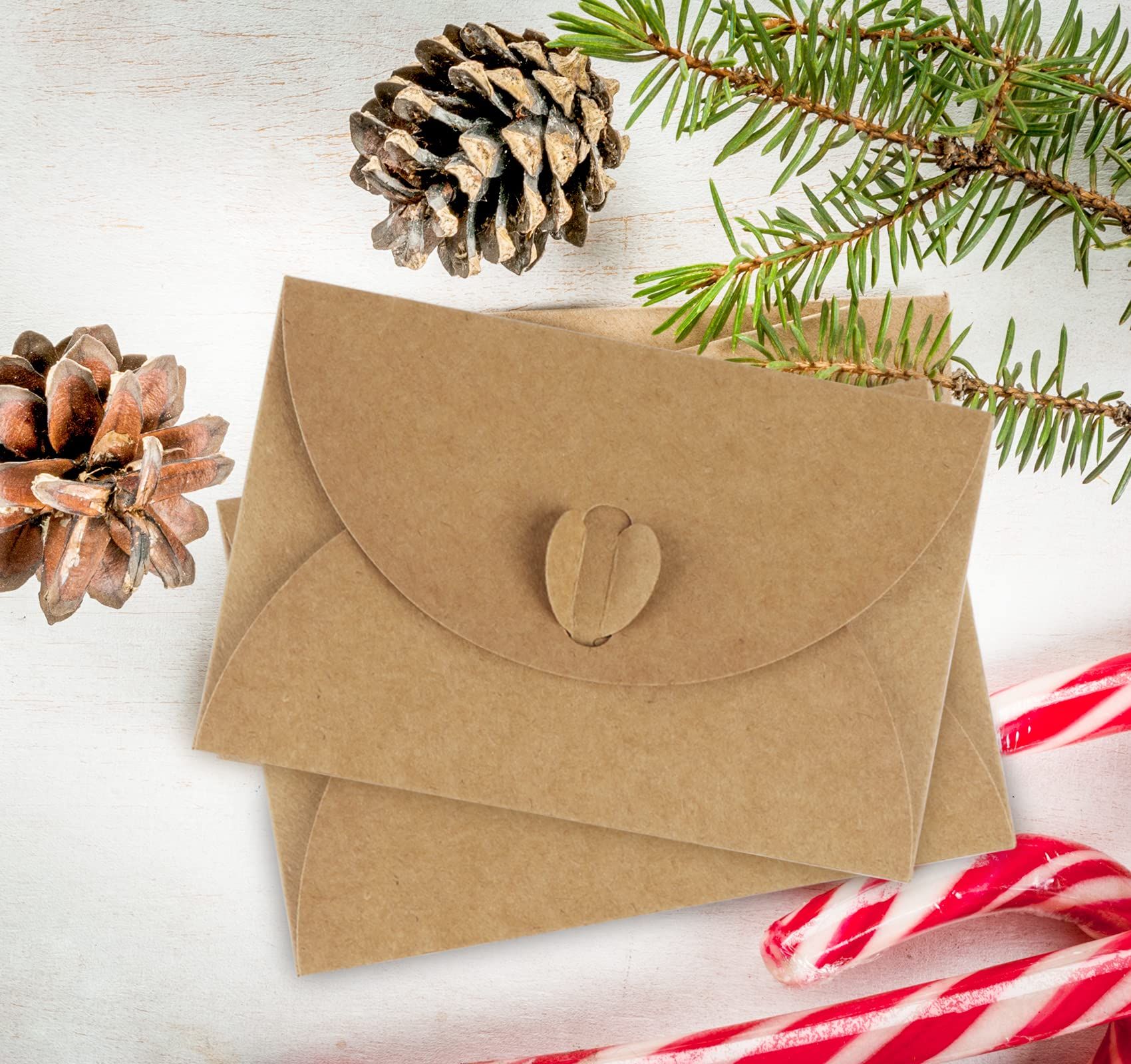 2pcs Gift Card Envelopes Craft Photo Envelopes Gift Card Holders Mini Seed view 5