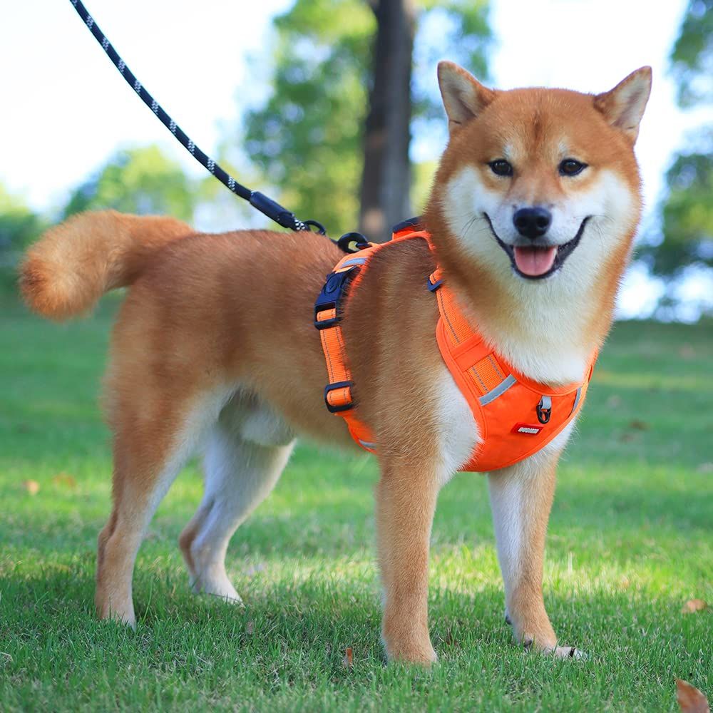 Non pull dog seat belt, reflective and unobstructed pet pad vest seat belt view 4