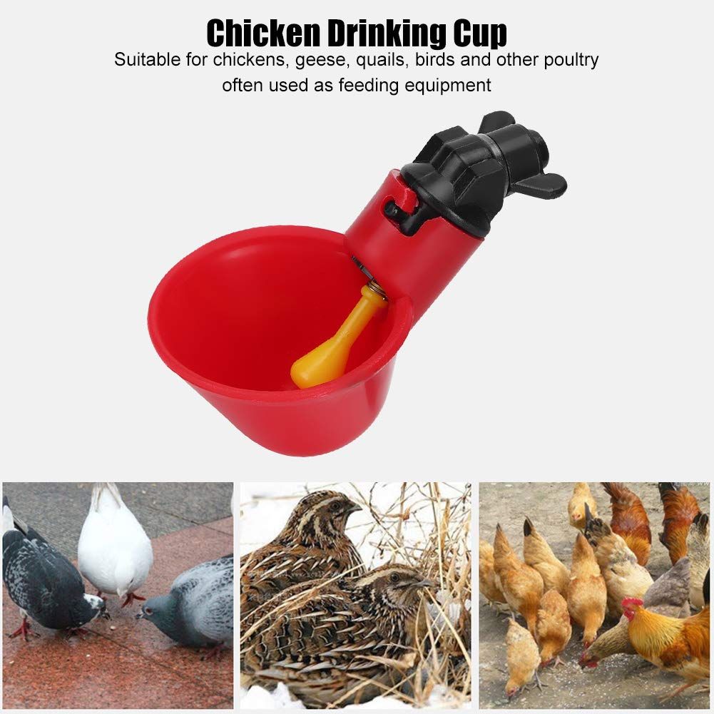 Chicken Drinker, Livestock Automatic Red Water Bowl Quail Chicken Drinking Cup view 5
