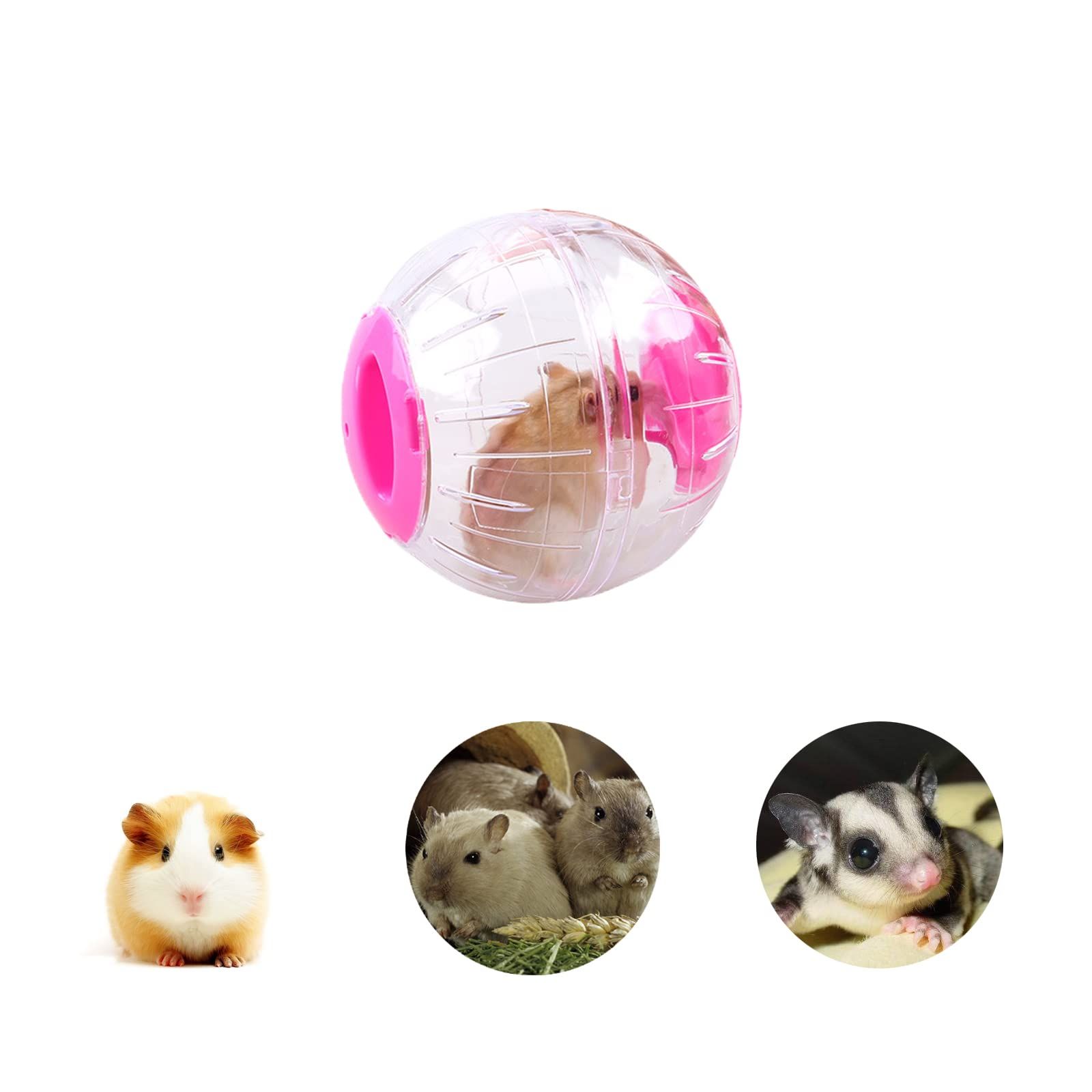 Hamster Ball,Hamster Exercise Ball Plastic Exercise Running Ball Toy Sport