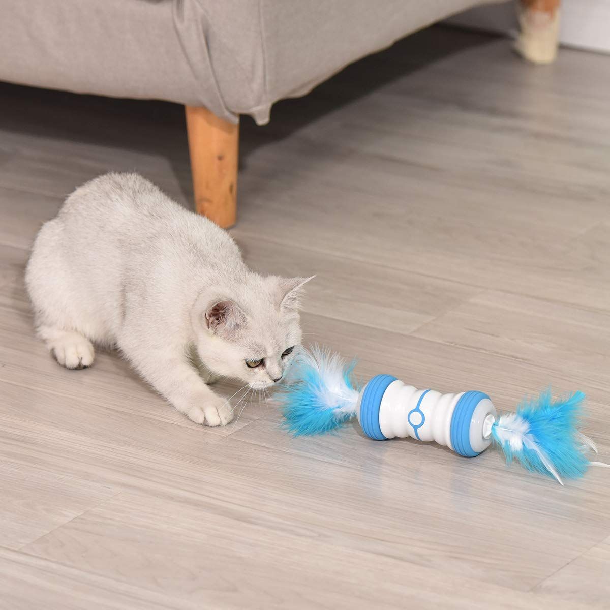 ENJOY PET Cat Toys, Interactive Cat Feather Toys with 360 Degree Automatic view 5