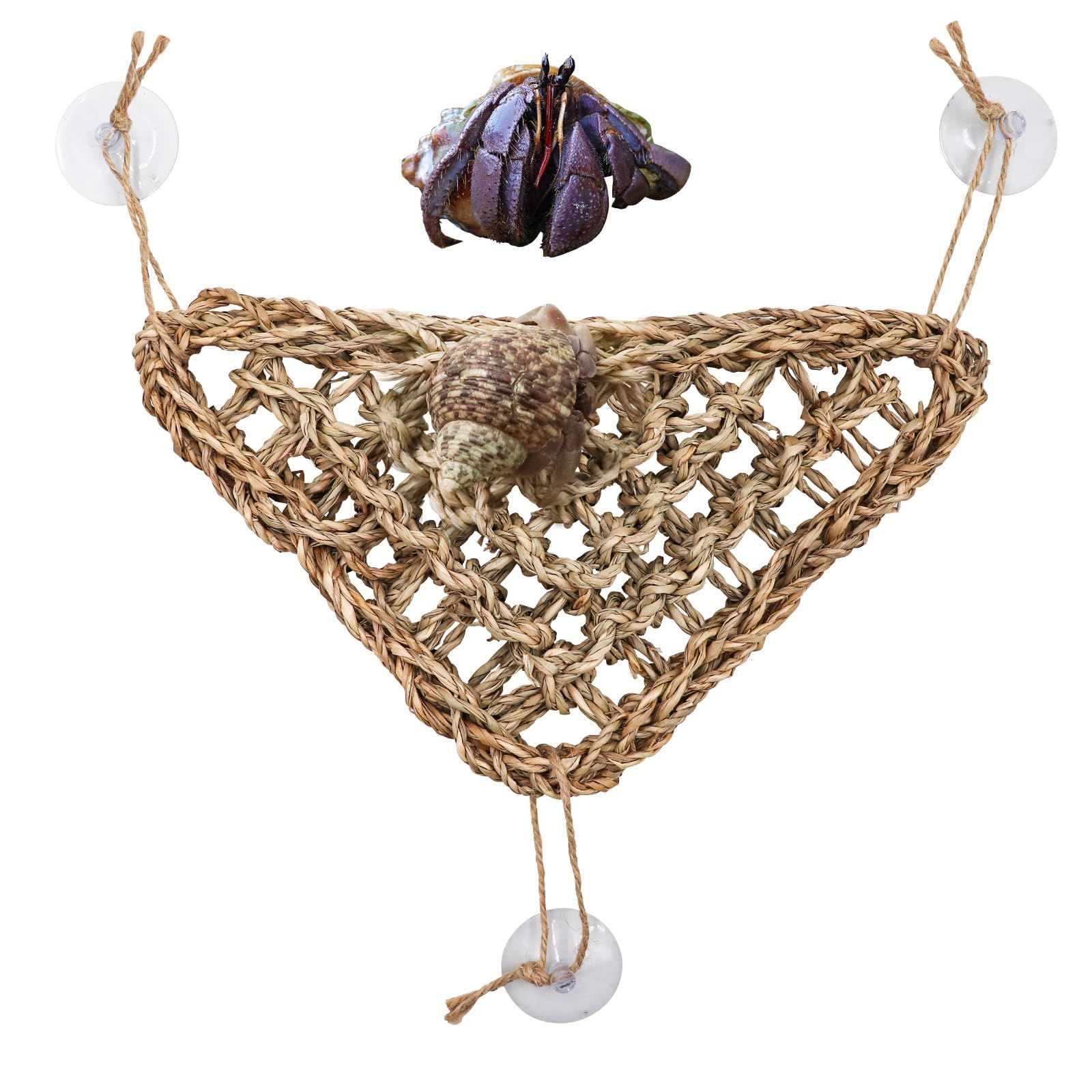 Hermit Crab Climbing Toys
