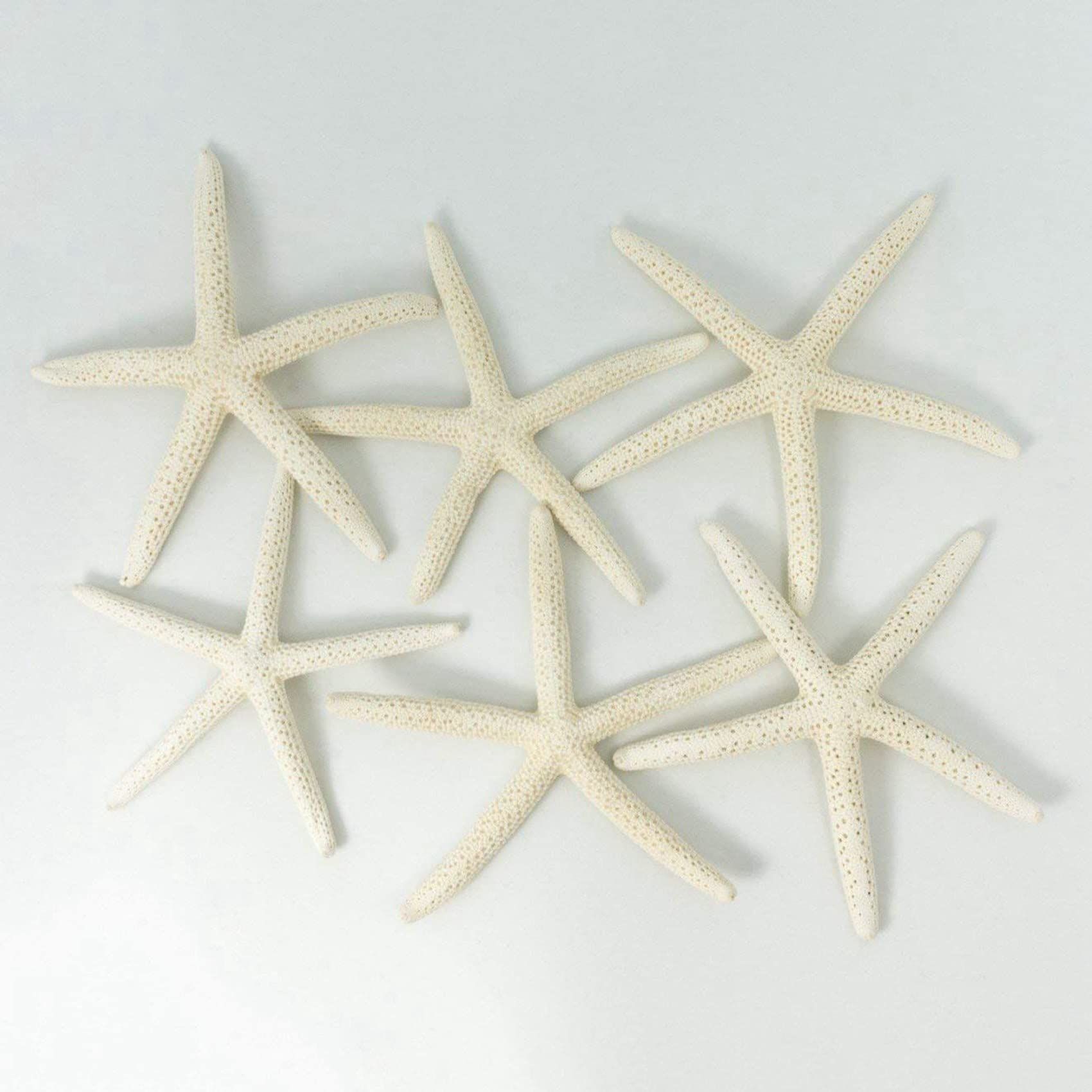 24PCS White Finger Starfish 7-10cm Decorative Five-Finger Starfish Natural view 2