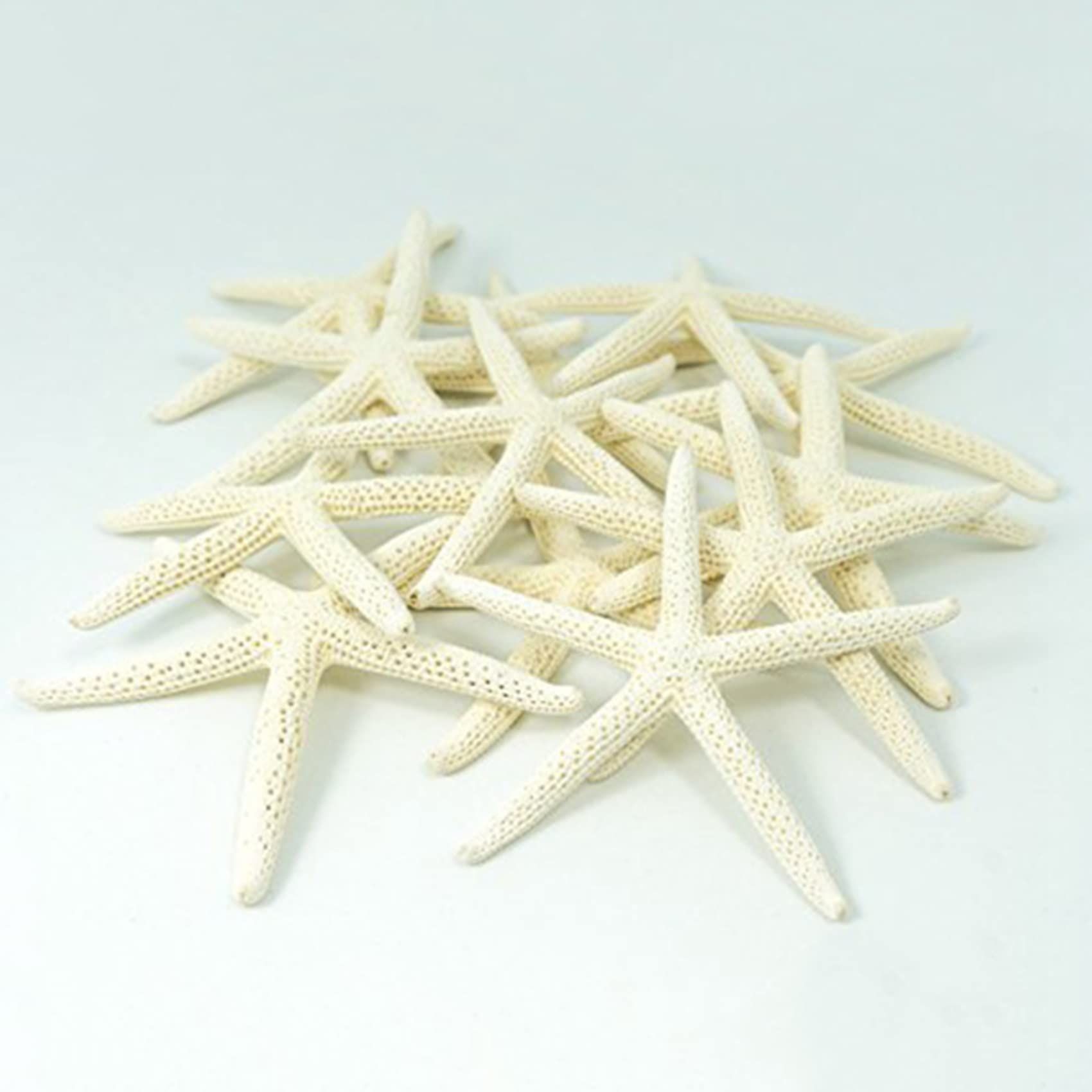 24PCS White Finger Starfish 7-10cm Decorative Five-Finger Starfish Natural view 3