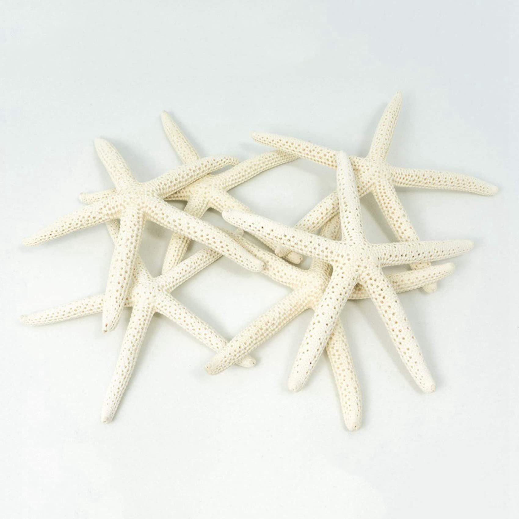24PCS White Finger Starfish 7-10cm Decorative Five-Finger Starfish Natural view 4