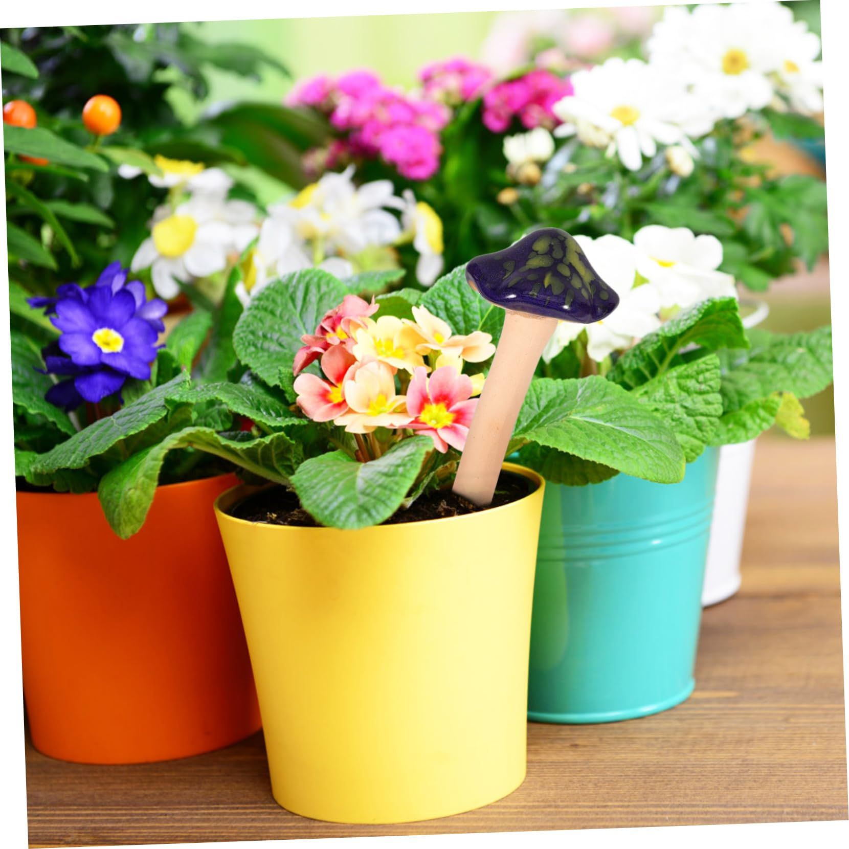 4pcs Succulent Flower Pot Micro Mushroom Statue Mushroom Decor Mushroom view 3