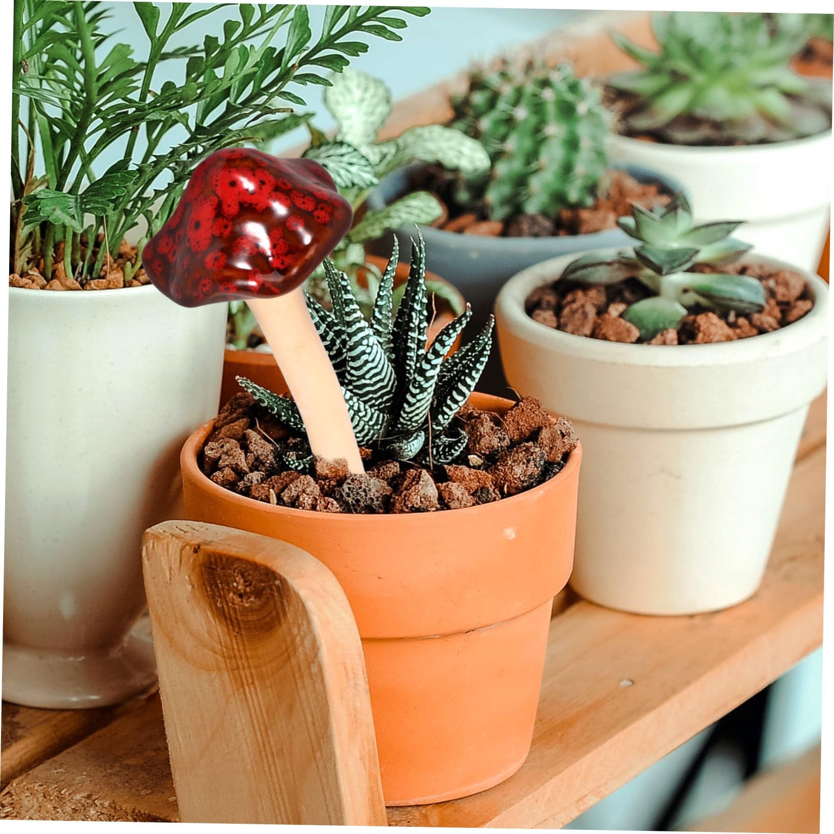 4pcs Succulent Flower Pot Micro Mushroom Statue Mushroom Decor Mushroom view 4