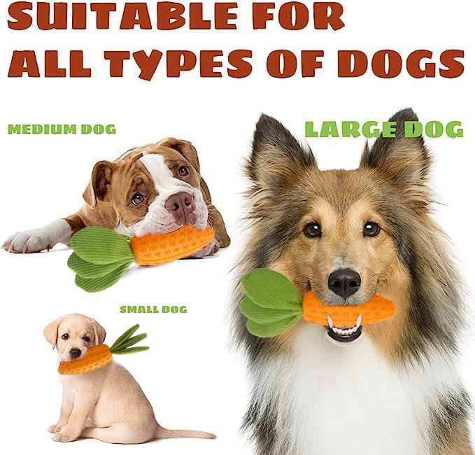 Dog Chew Toy, Carrot Dog Squeaky Toys for Aggressive Chewers, Natural Rubber view 5