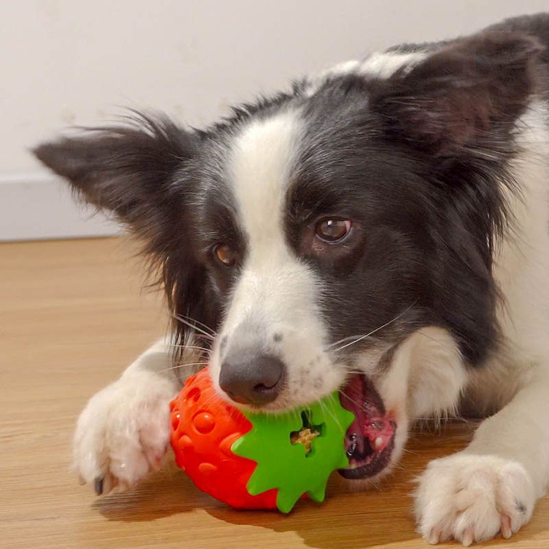 Dog Puzzle Toys, Rubber Dog Chew Toys,Treat Food Dispensing Dog Toys for Teeth view 5