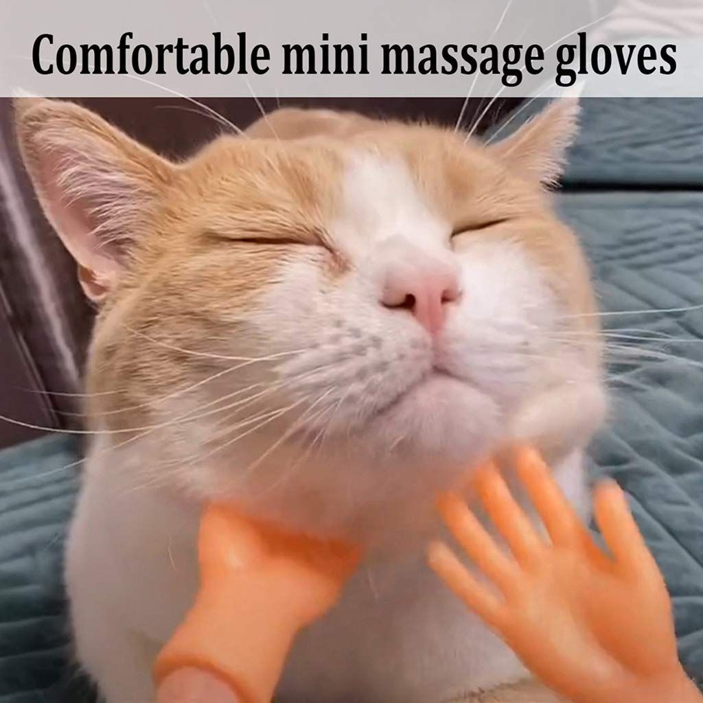 Grooming Glove Artifact for Cat and Dog Beauty Massage view 3