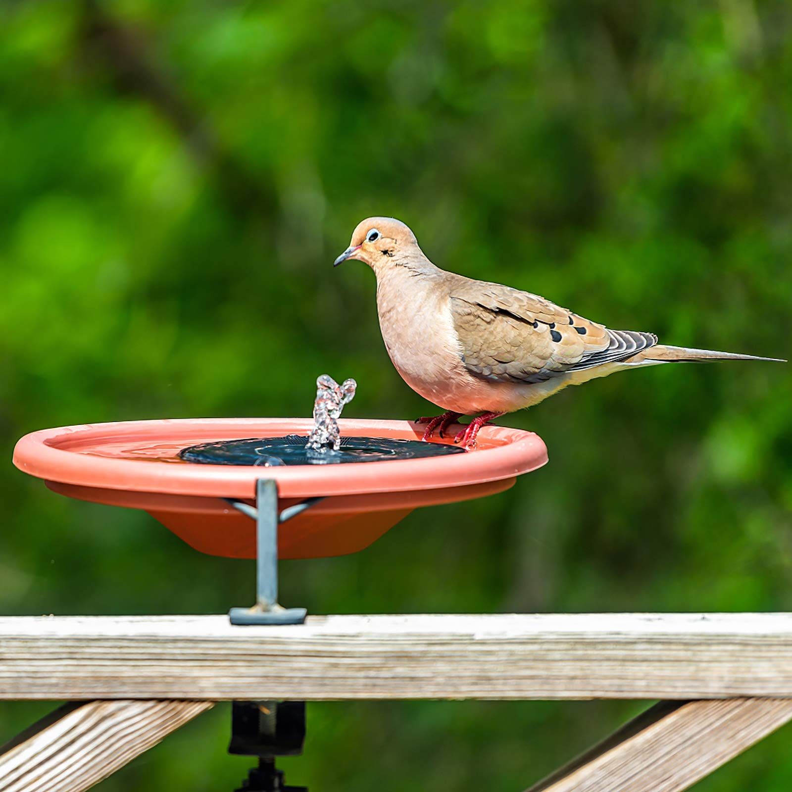 Solar Bird Bath Fountain Pump view 5