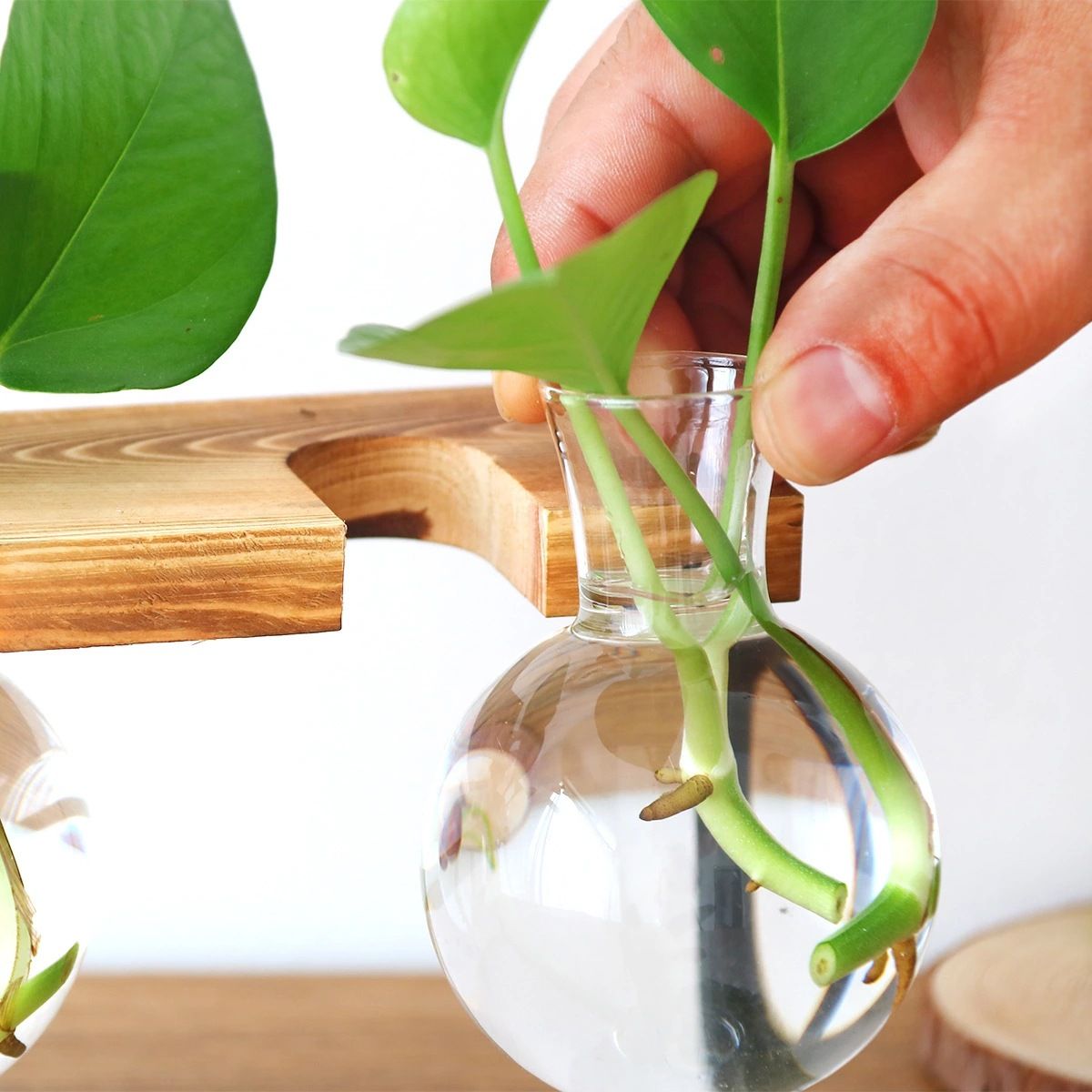 Plant Glass Vase, Tabletop Vase Retro High Borosilicate Glass Good Air view 3
