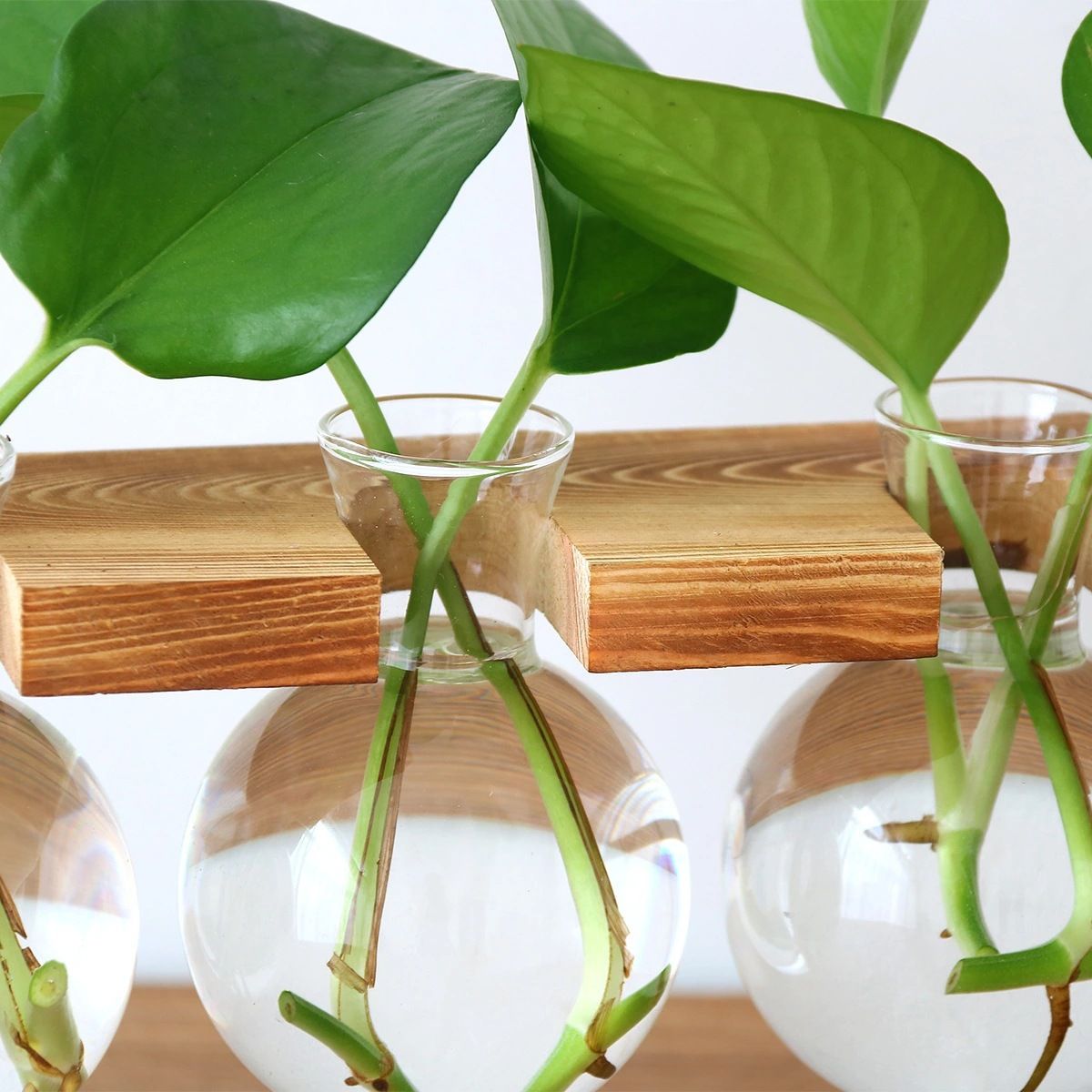 Plant Glass Vase, Tabletop Vase Retro High Borosilicate Glass Good Air view 4