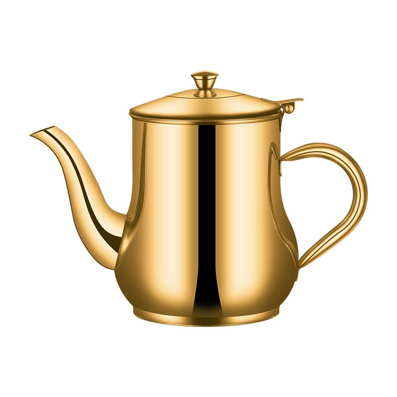 Stainless Steel Gooseneck Teapot Color Me Metal Gooseneck Tea Pot with Filter