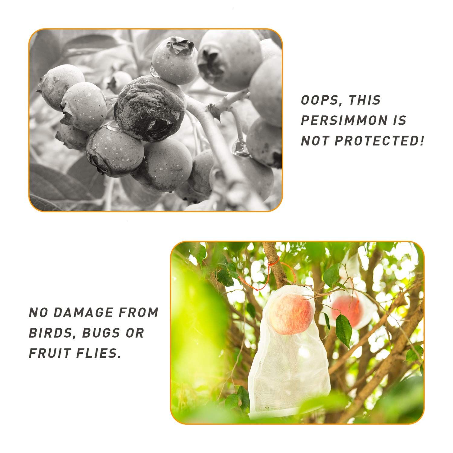 100pc Fruit Protection Bags view 2