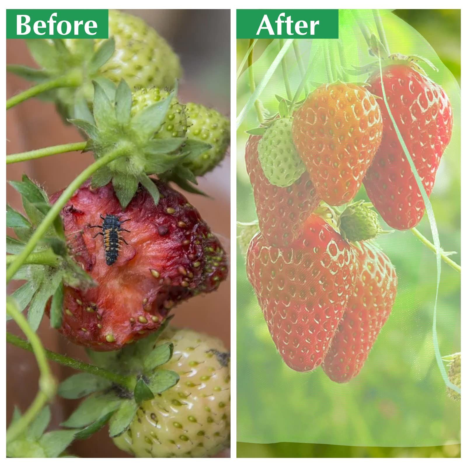 10 Pcs Fruit Protection Bags view 4