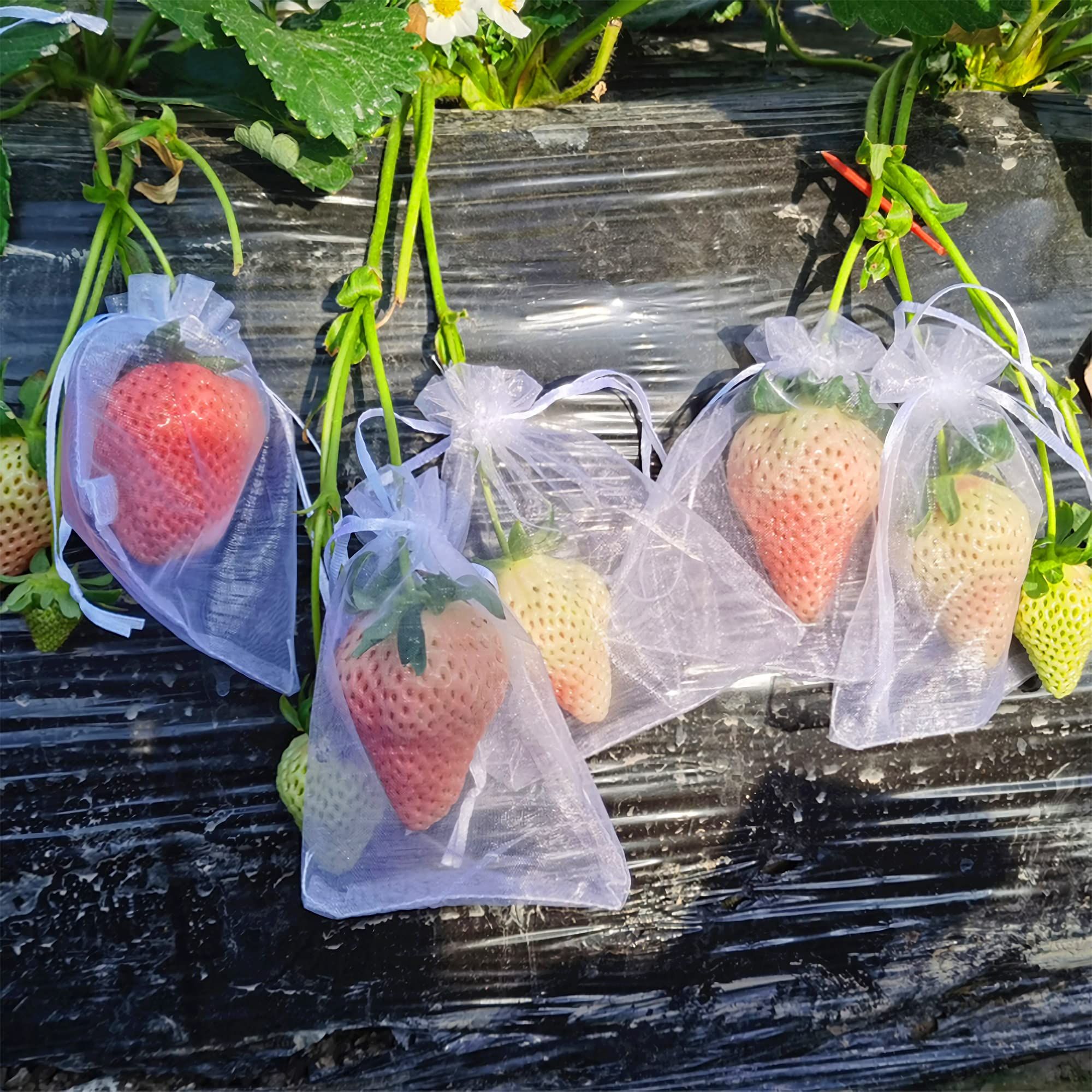 100 Pieces Fruit Netting Bags - Fruit Protection Bags with Drawstring view 5