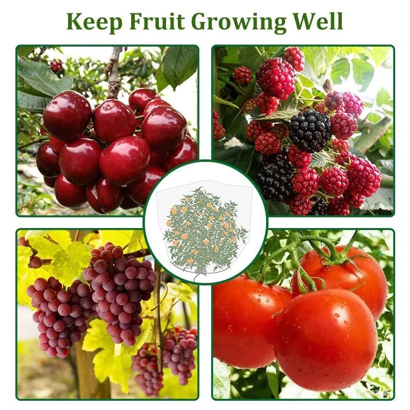 3pc Fruit Tree Netting Protection Bag with Drawstring view 5