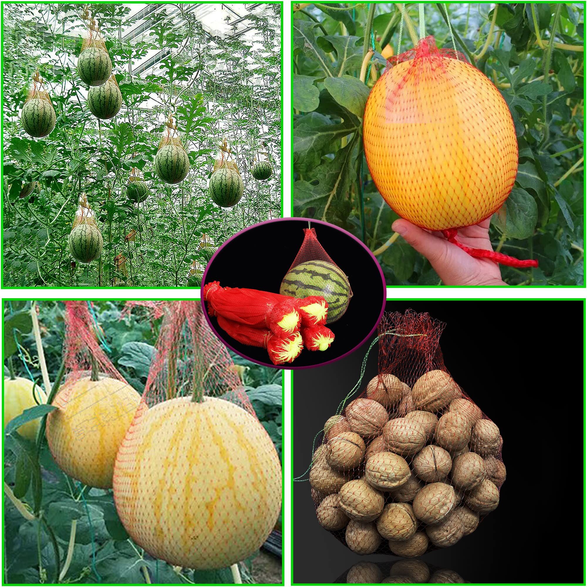100 pc Thicken Melon Nets Watermelon Nets Melon Cradle Hanging Watermelon Nets view 4