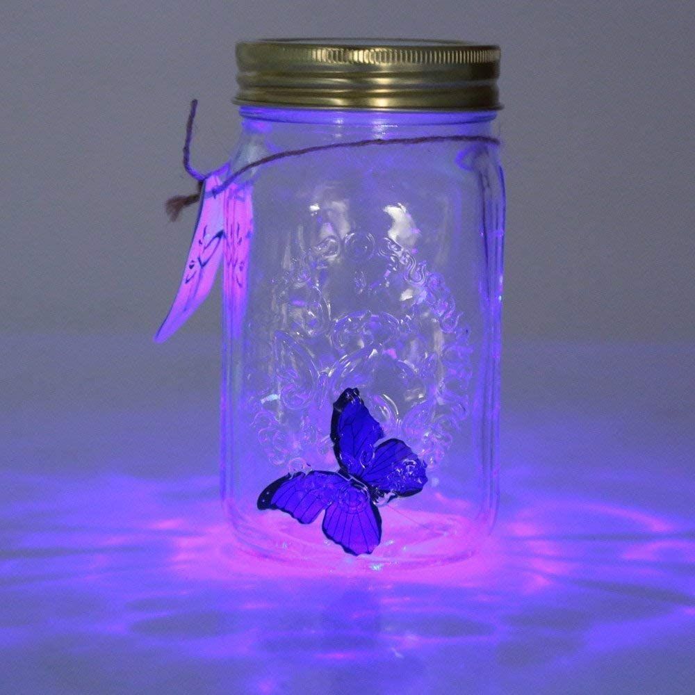 Butterfly Collection Jar view 8