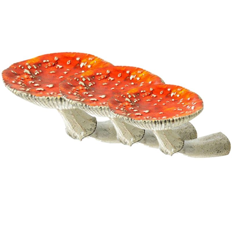 Mushroom Shelf 3 Pack Cute Cottage Core Wall Decor Small Floating Mushroom view 2