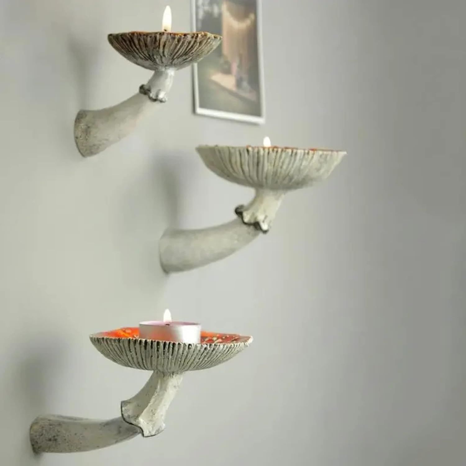 Mushroom Shelf 3 Pack Cute Cottage Core Wall Decor Small Floating Mushroom view 3