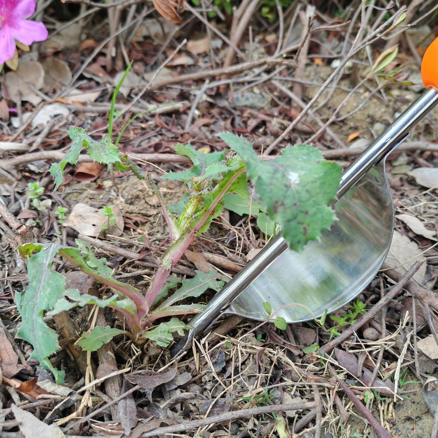 Weeder Puller Tool, Hand Weeder Tool, Manual Weed Forks, Multi Function Garden view 4