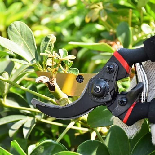 Professional Premium Advanced Carbon Steel Bypass Pruning Shears view 5