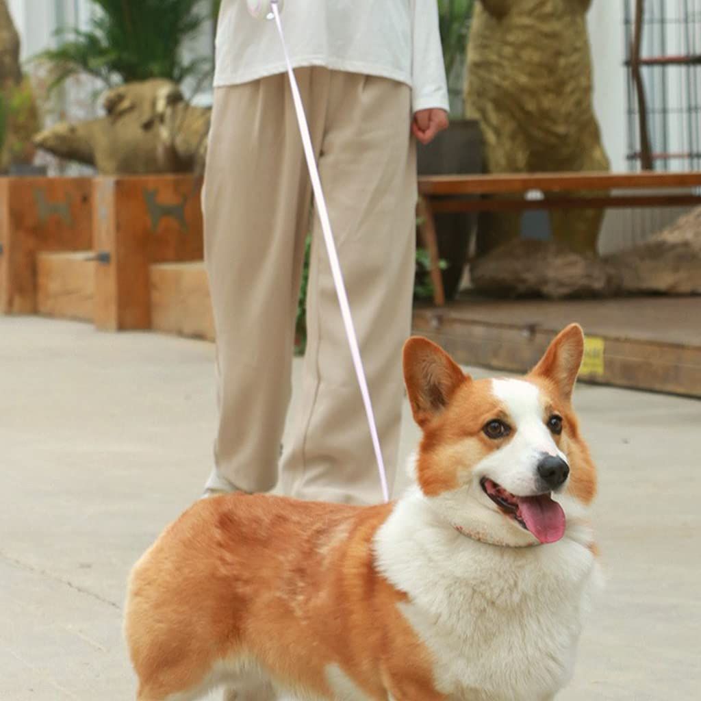 Dog Leash Retractable Walking Collar Automatic Rope Extendable Leash with view 4