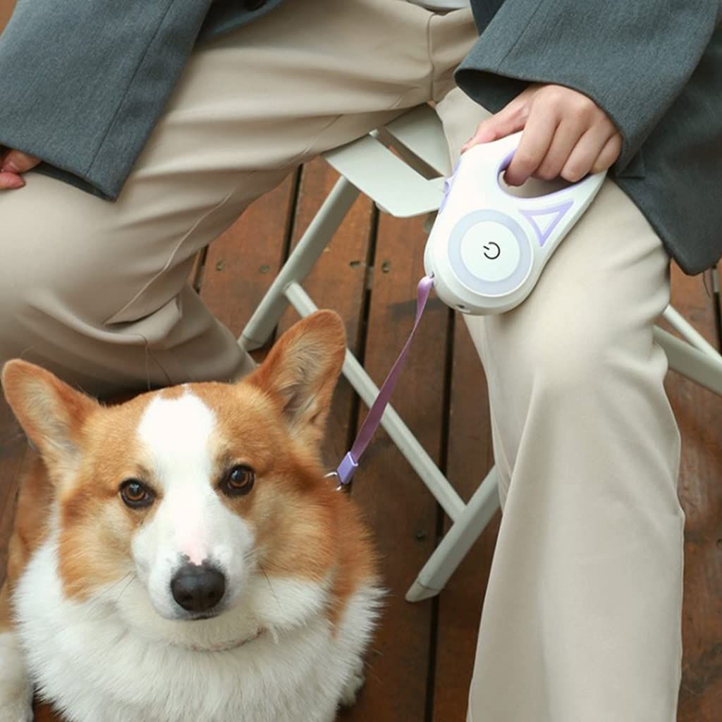Dog Leash Retractable Walking Collar Automatic Rope Extendable Leash with view 5