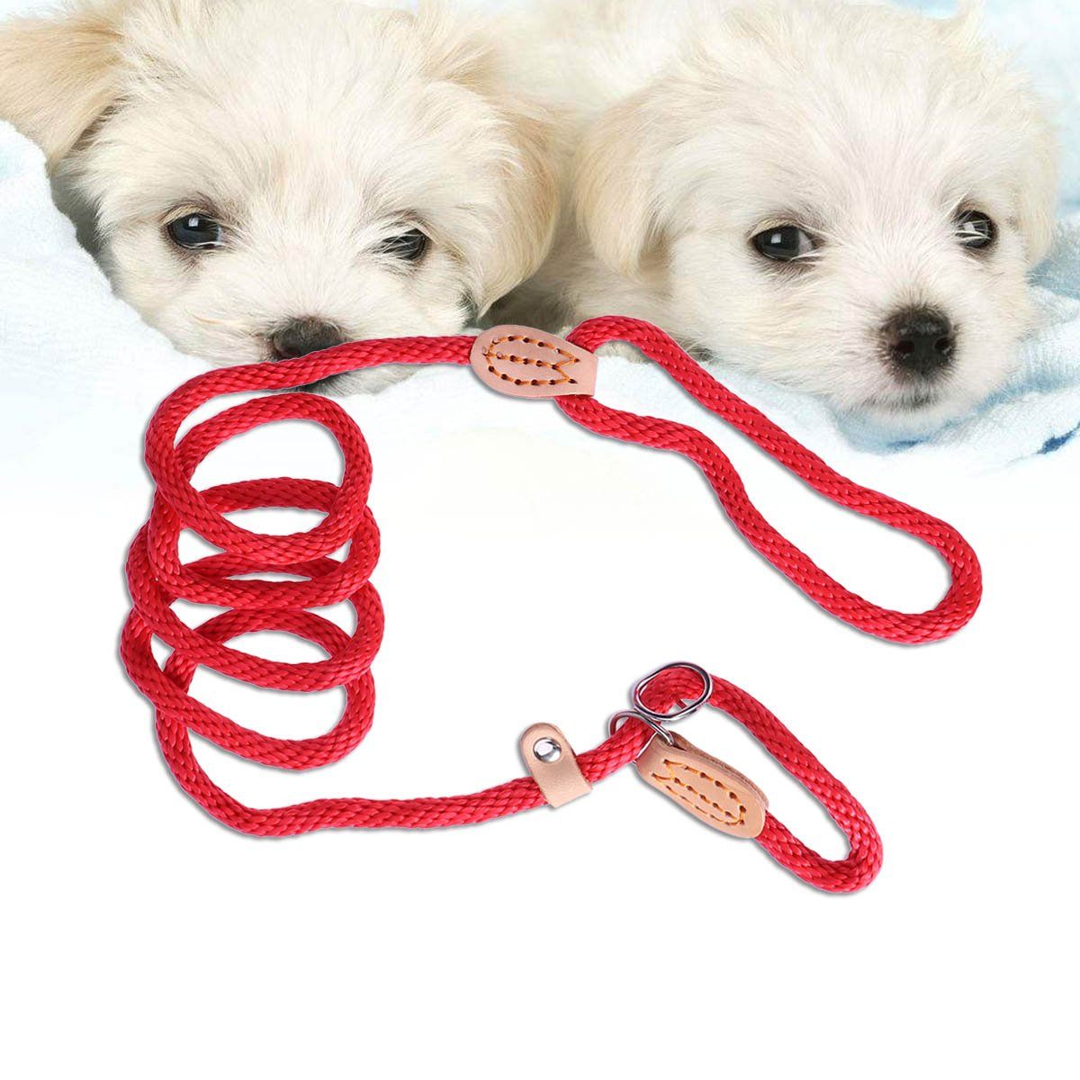 Nylon Dog Slip Training Leash Collar Rope for Pets Training (Red) Adjustable view 5