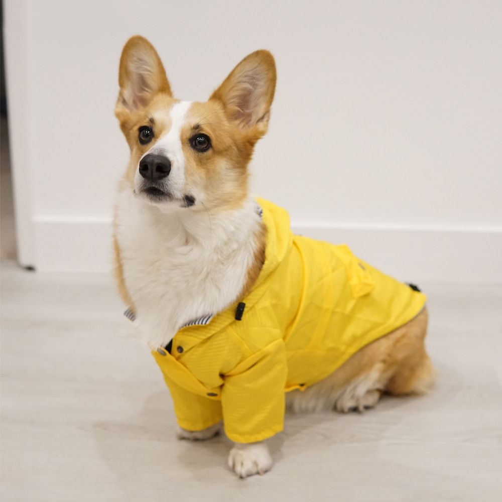 Raincoat with Reflective Buttons view 3