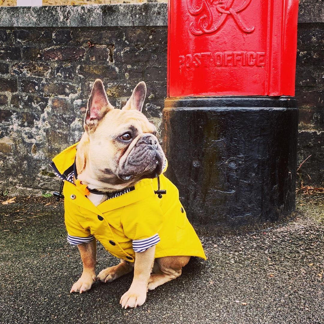 Raincoat with Reflective Buttons view 5