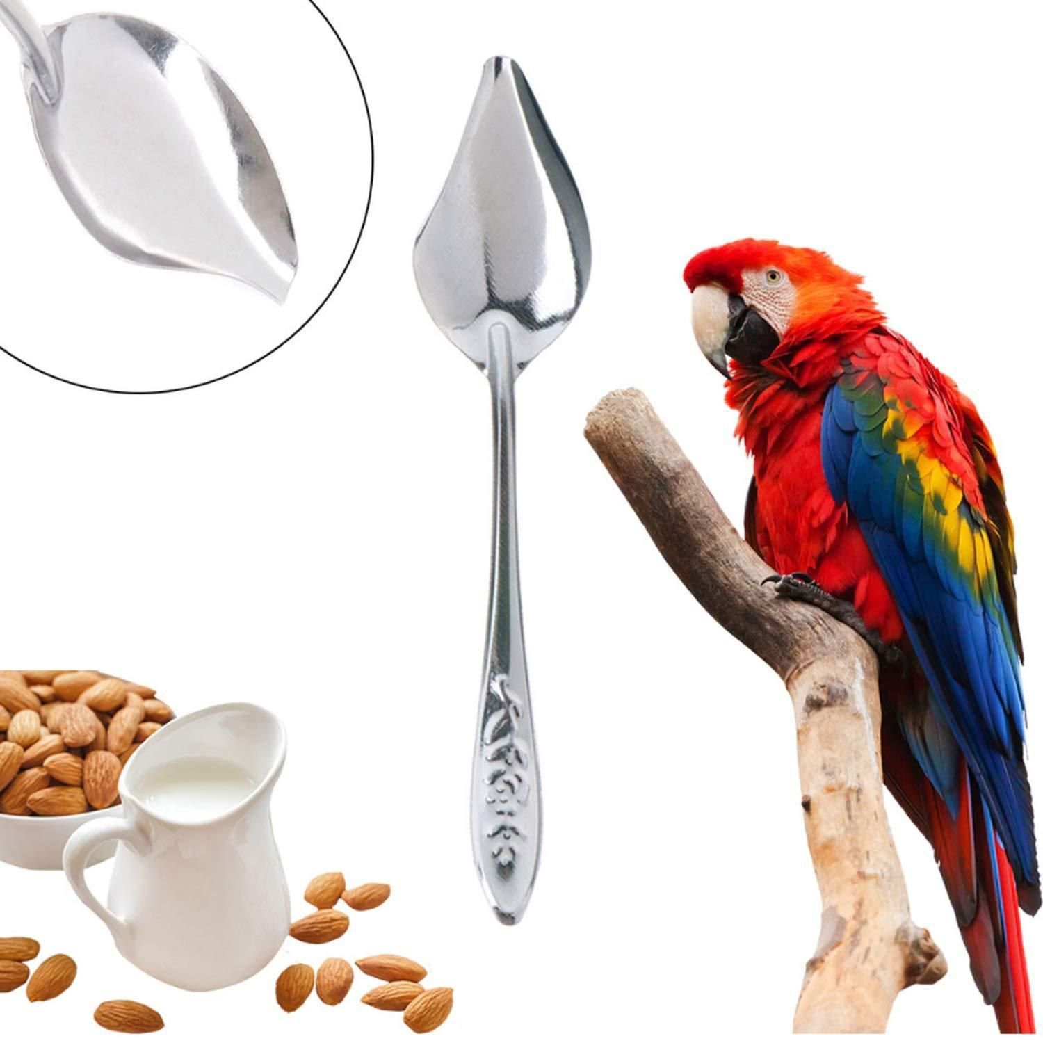 Bird Feeder Spoons Stainless Steel Milk Medicine Parrot Feeding Scoops Hand