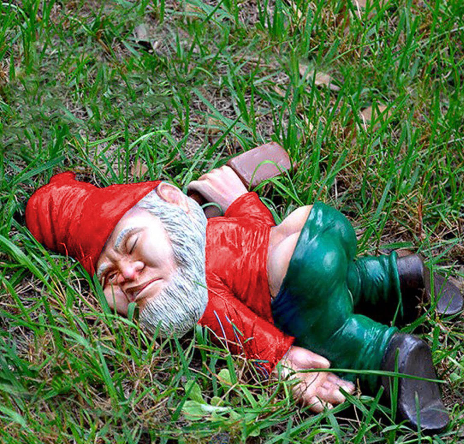 Gnomes Statues Outdoor Decor view 3