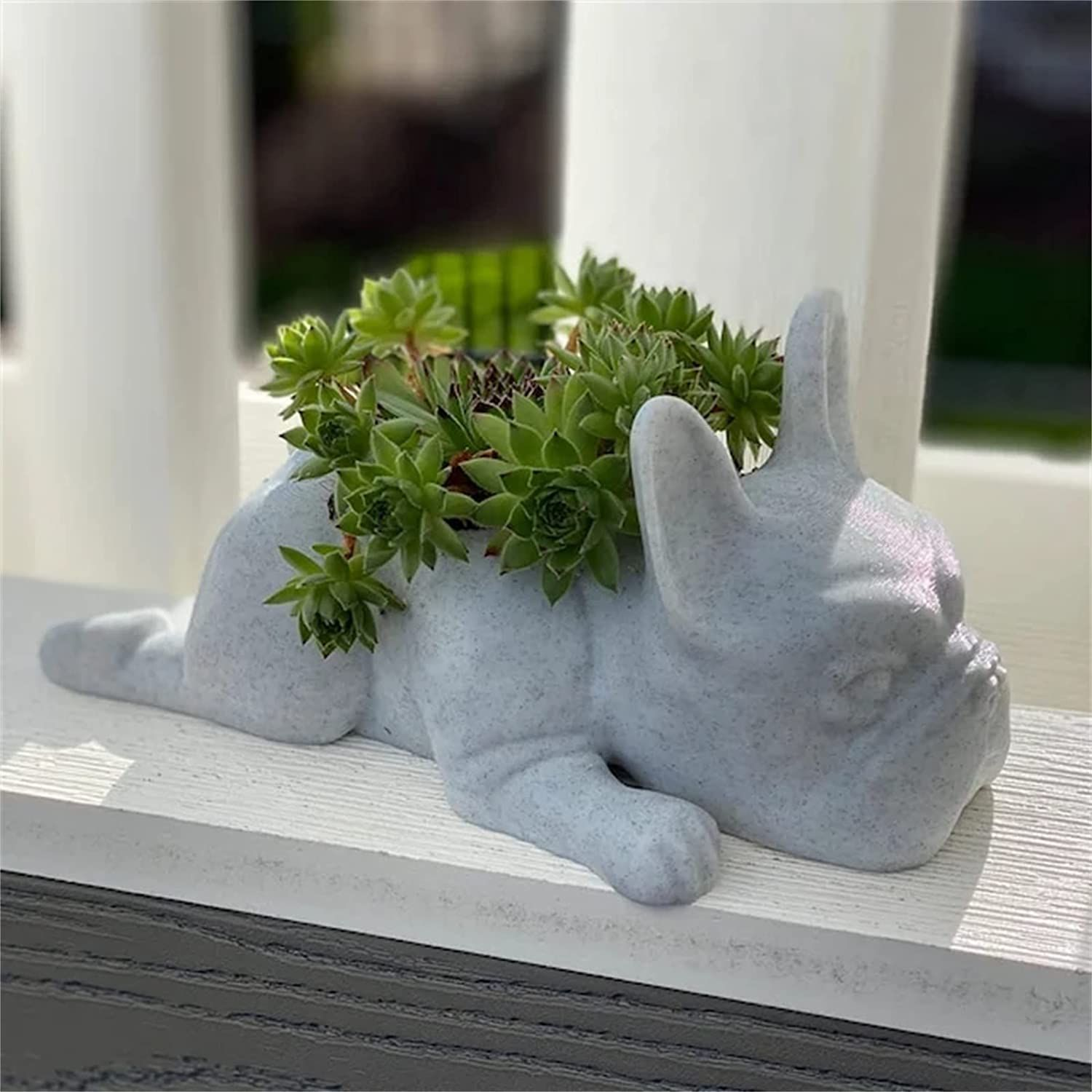 Succulent Planter Pots, Bulldog Shape Resin Succulent Planter Desktop Plant view 2