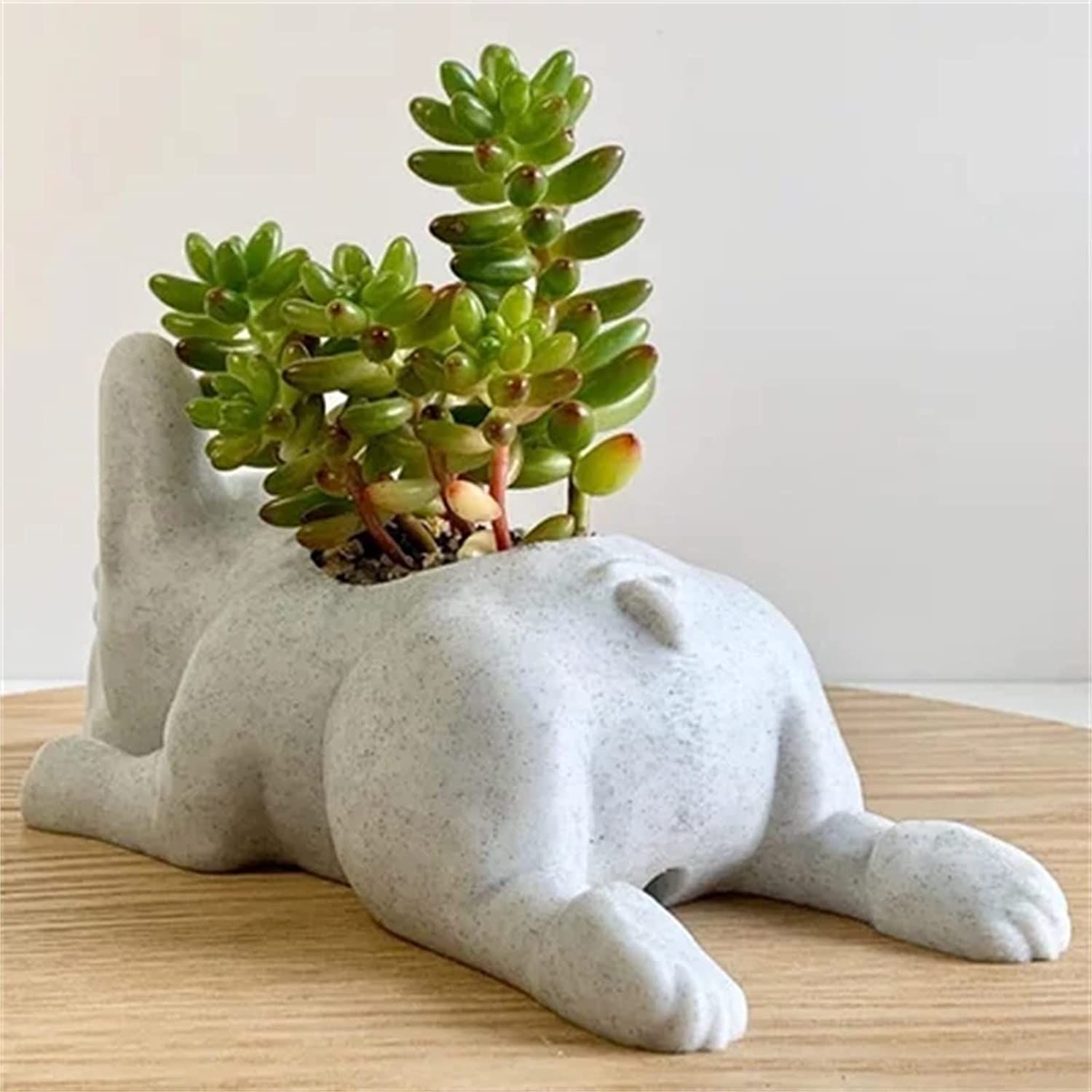 Succulent Planter Pots, Bulldog Shape Resin Succulent Planter Desktop Plant view 3