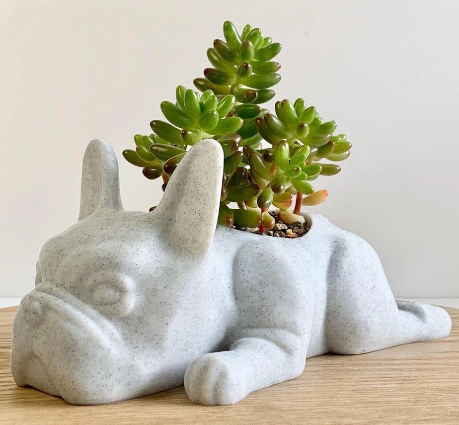 Succulent Planter Pots, Bulldog Shape Resin Succulent Planter Desktop Plant view 5