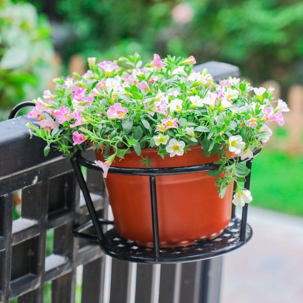 Iron Art Hanging Baskets Flower Pot Holder Over The Rail Metal Fence Planters view 5