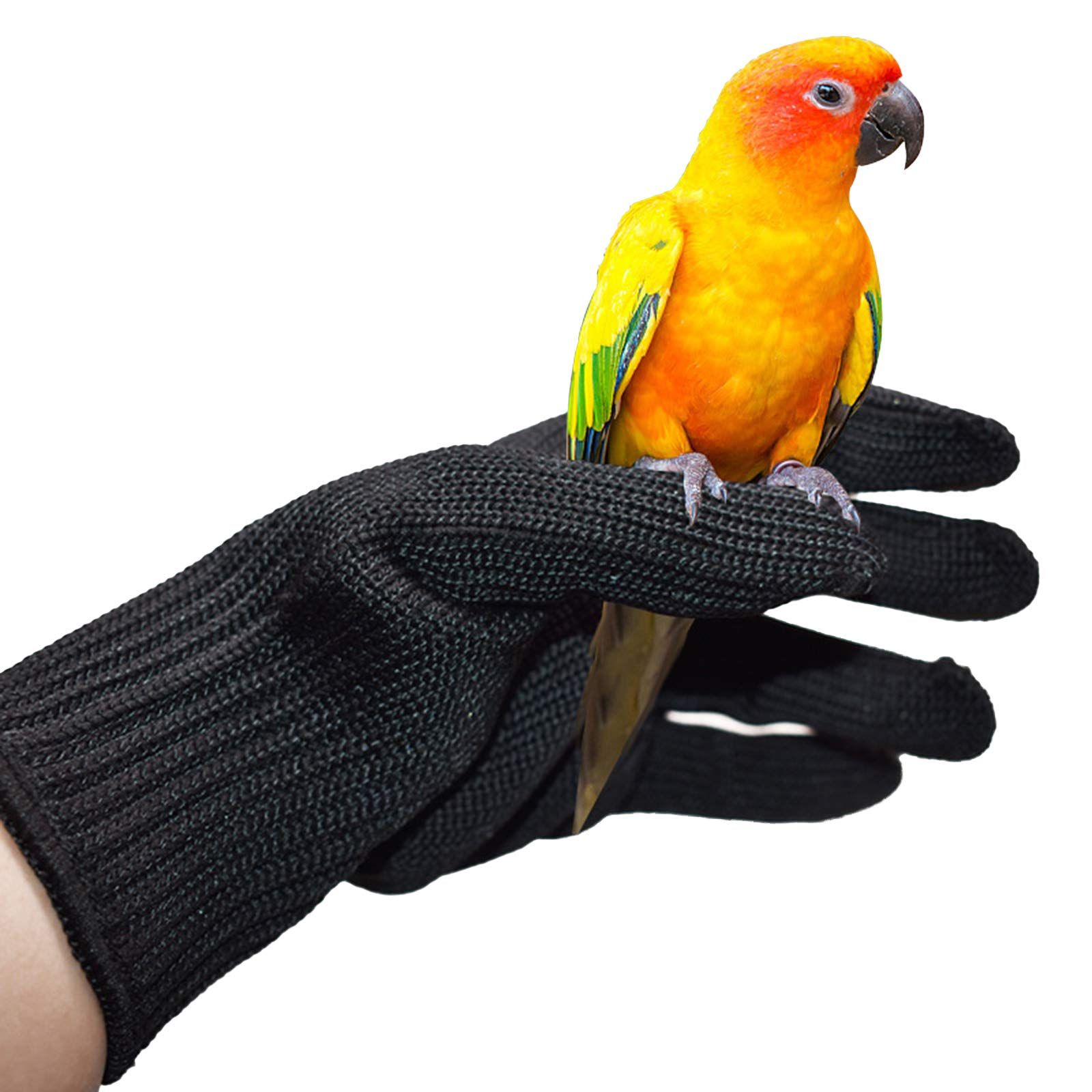 Petyoung Bird Training Anti-Bite Gloves view 5