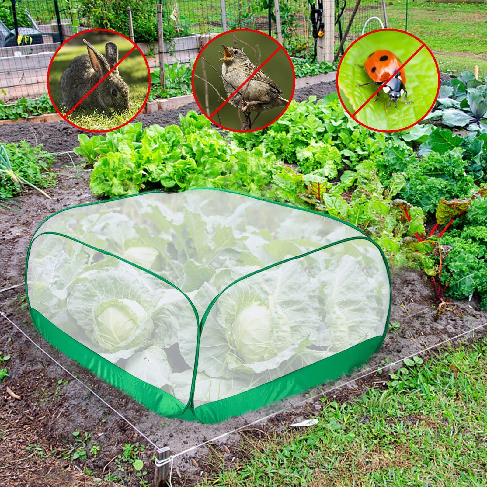 Garden Plant Cover-Bird Barrier Netting view 2